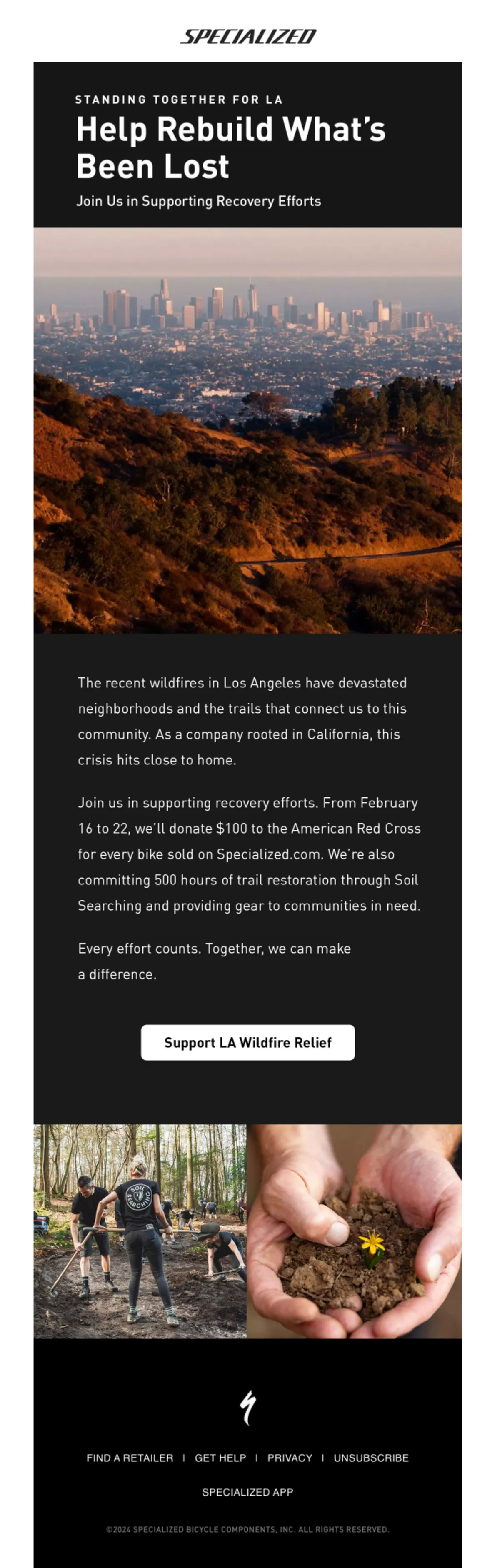 Example Charity/Advocate email